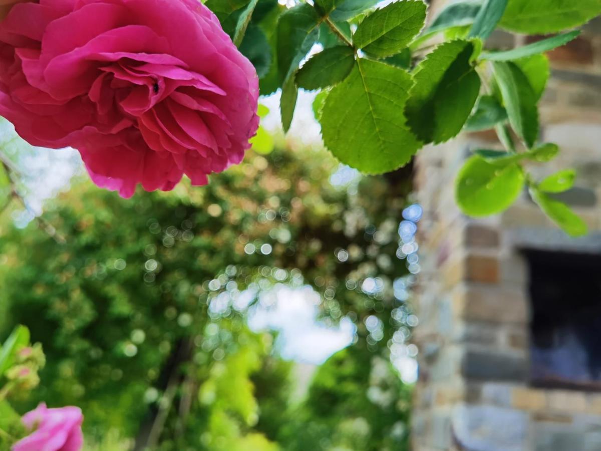 Ferienhaus Eifelrose Simmerath Luaran gambar
