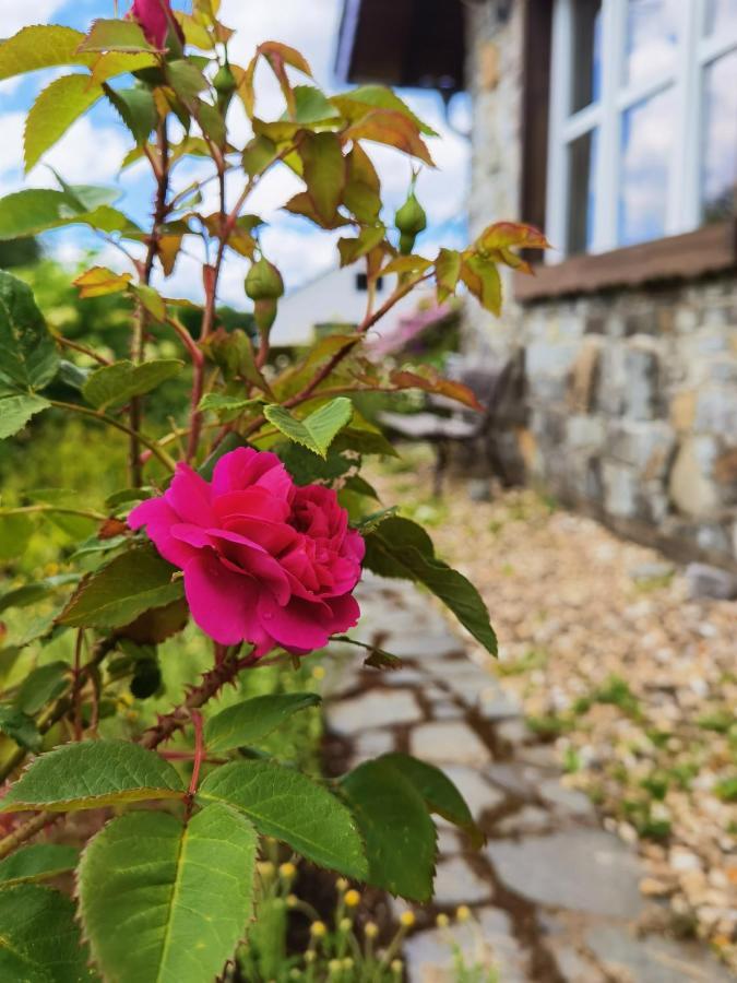 Ferienhaus Eifelrose Simmerath Luaran gambar