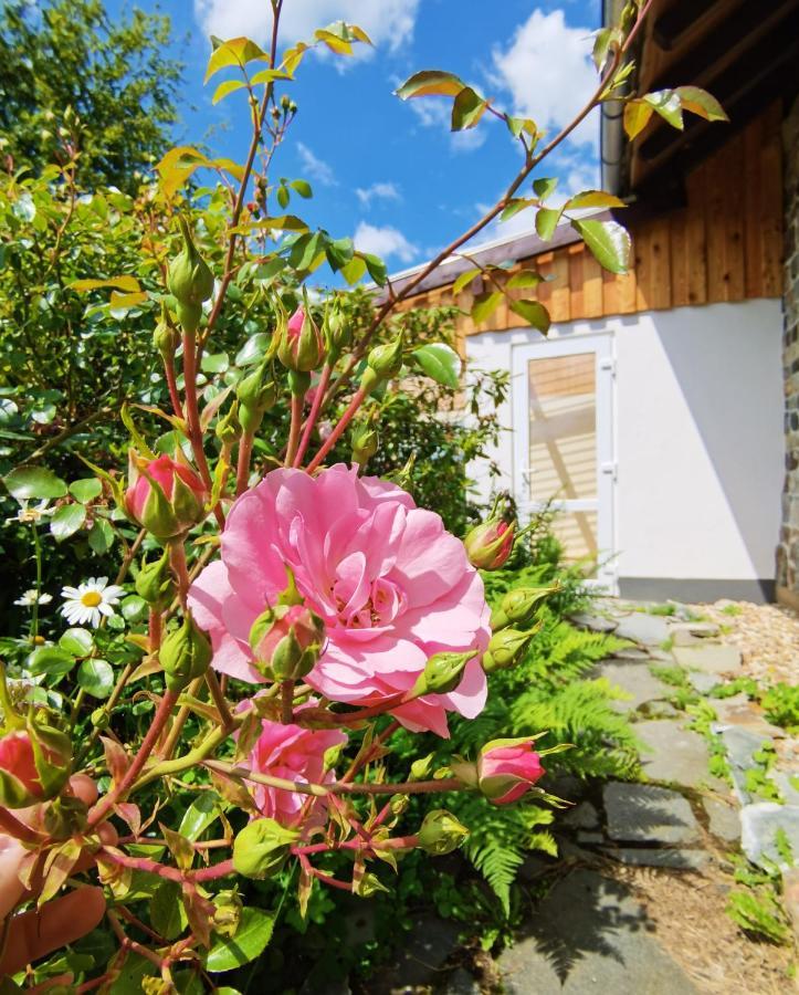 Ferienhaus Eifelrose Simmerath Luaran gambar